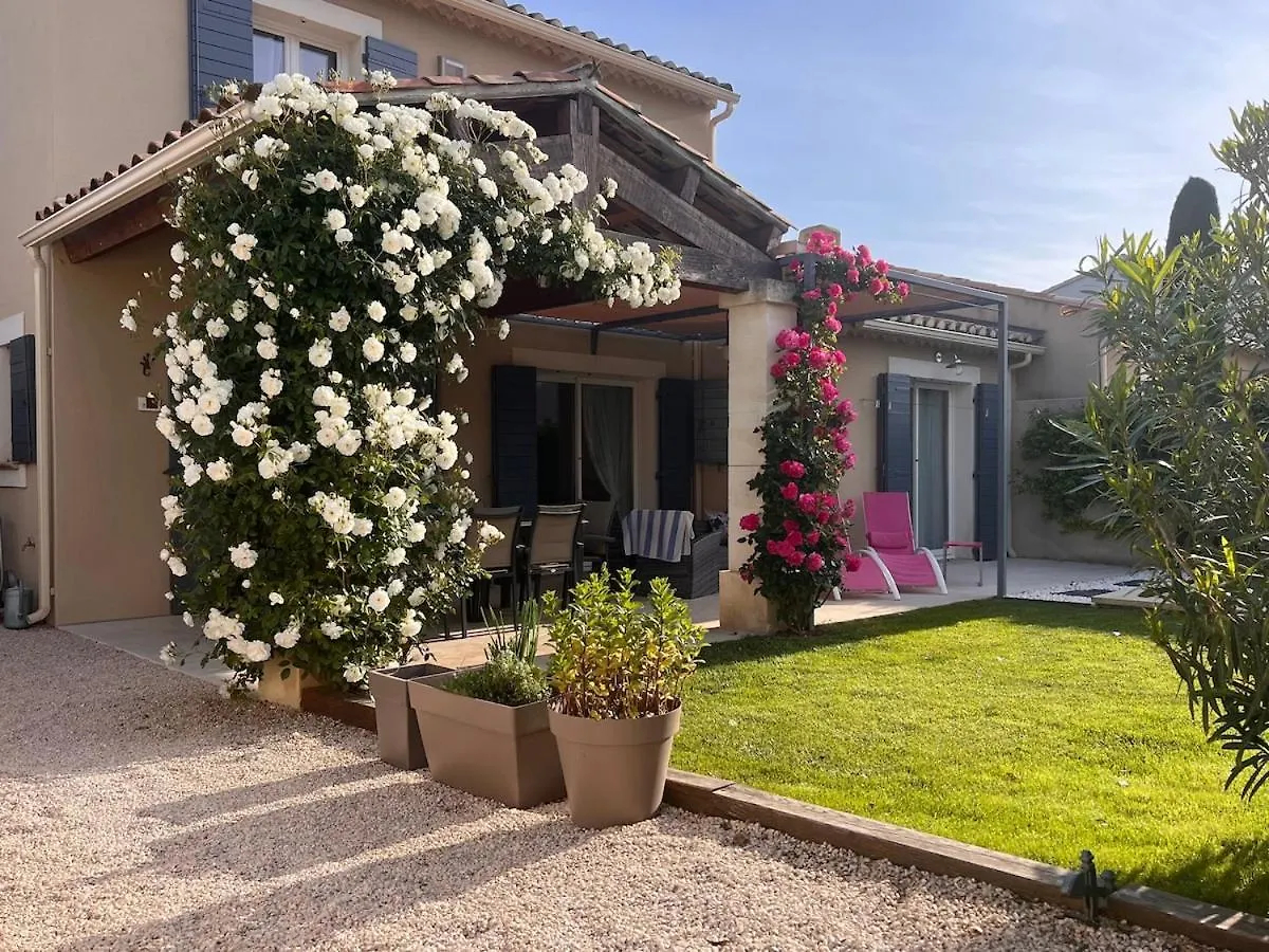 Mas Remy-Villa In Private Residence Saint-Remy-de-Provence France